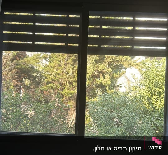 תריסים שחורים פתוחים למחצה עם נוף עצים בחוץ